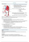 Samenvatting -  Pediatrie - cardiologie