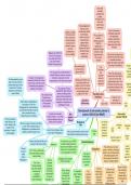 Topic 5 - The Racial State - Complete Mindmaps
