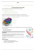 The Structural Organization of the Human Body - ANP1105 lect 1
