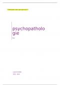samenvatting GGZ - onderdeel psychopathologie