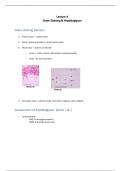 MIP 300 Lecture 4 Gram Stain & Peptidoglycan