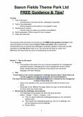 Saxon Fields Theme Park Ltd Notes, Exam Structure & free guidance 