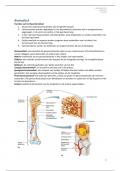 Spijsverteringsstelsel, beenderenstelsel en urinaire stelsel
