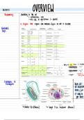 Introduction to Biochemistry/General Biochemistry exam 1: overview, water, pH, amino acids & peptides