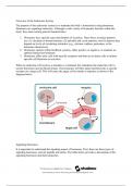 Overview of the Endocrine System