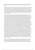 Example A grade essay for political and social protest - English Literature