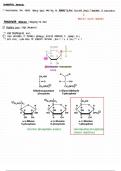 Biochemistry 214: Carbohydrate derivatives