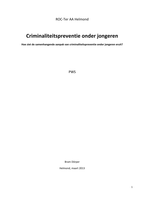 Profielwerkstuk Criminaliteitspreventie onder jongeren (Onderzoek)