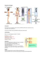 Samenvatting Anatomie&Fysiologie lesjaar 1 periode 1