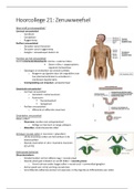 Hoorcolleges en zelfstudie Zenuwweefsel en Membraanfysiologie (HC 21-25)