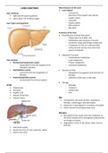 Liver Function 