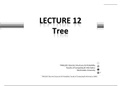 Lecture 12 - Tree