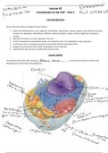 Anatomy of a cell 