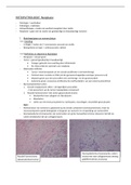 Samenvatting Histopathologie - NEOPLASIE 