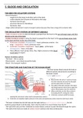Blood and circulation notes - biology IGCSE edexcel (1-9)