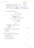 A Level Biology Homeostasis past paper questions Solved and Marked