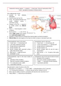 Lecture notes on the autonomic nervous system and the heart
