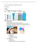 Medisch/anatomie leerjaar 1 Blok B, optometrie/orthoptie