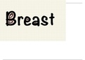 A to Z  Breast notes made easy by dr ishita includes med path Ana and surgery 