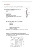 Samenvatting- Jef Michielsen- Spinal Cord Injury