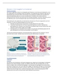 Samenvatting KVS C1 - Breuken in het maagdarm en lieskanaal 
