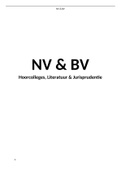 Samenvatting NV en BV (JUR-4NVBV)