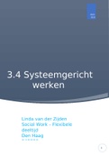 3.4 Systeemgericht werken (volledig verslag)