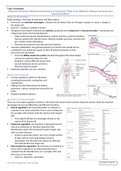 Summary hormones, brain and behavior (PSY3370/IPN3370)