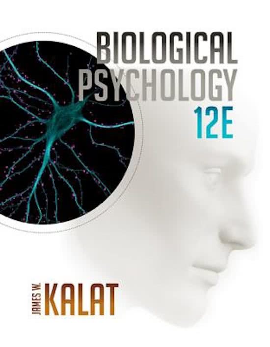 Test bank for Biological Psychology 13th Edition by James W. Kalat